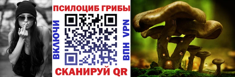 Галлюциногенные грибы Psilocybine cubensis  Купить закладки  Собинка 